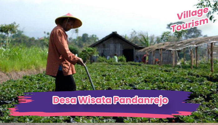 Desa Wisata Pandanrejo