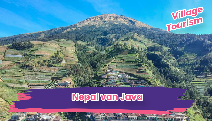 Nepal Van Java