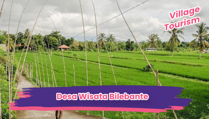 Desa Wisata Bilebante