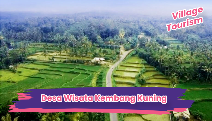 Desa Wisata Kembang Kuning