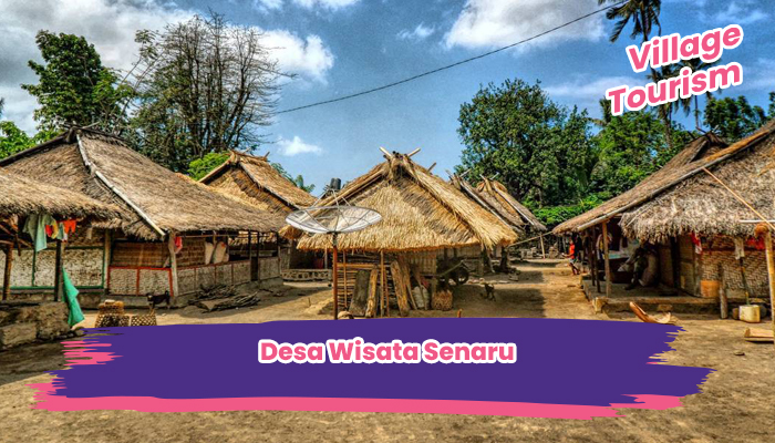 Desa Wisata Senaru