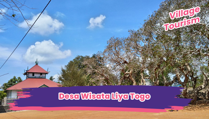 Desa Wisata Liya Togo