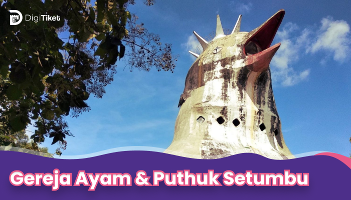 Rumah Kamera, Gereja Ayam & Puthuk Setumbu - Paket VW Medium Trip