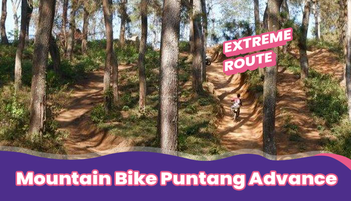 MTB (Mountain Bike) Puntang Advance Extreme Route